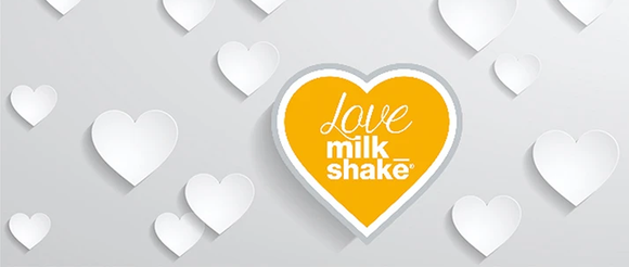 Milk_Shake Travel Size Hair Products — Hannah Heartss